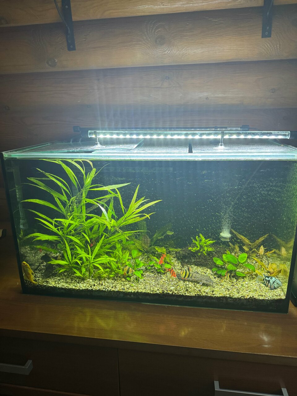 Гостиница Белка Геленджик-73