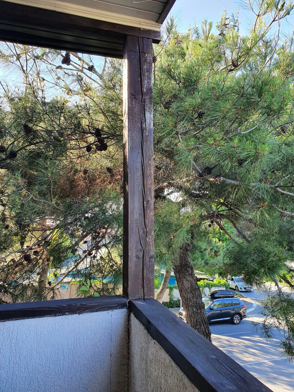 Гостиница Белка Геленджик-34