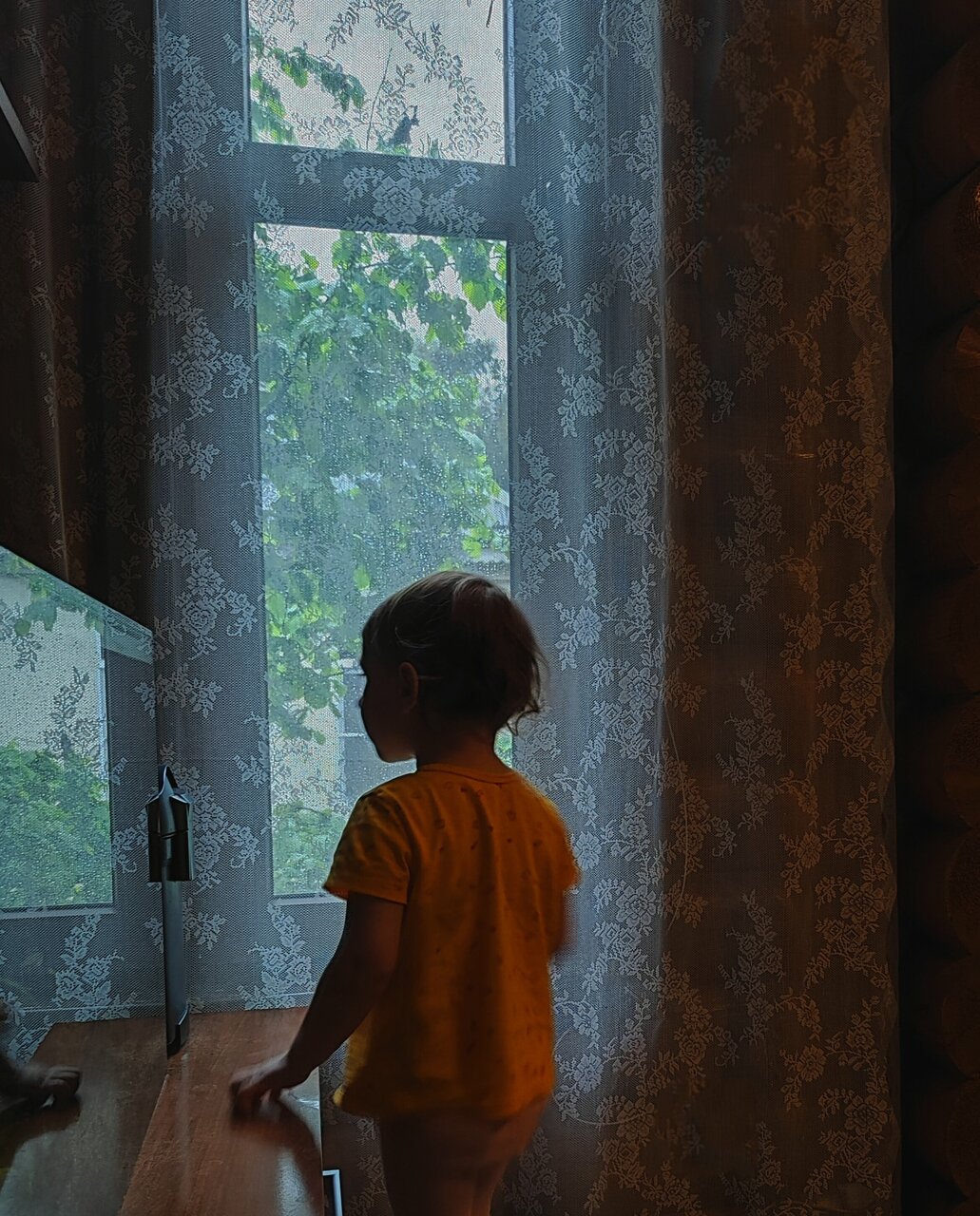 Гостиница Белка Геленджик-74