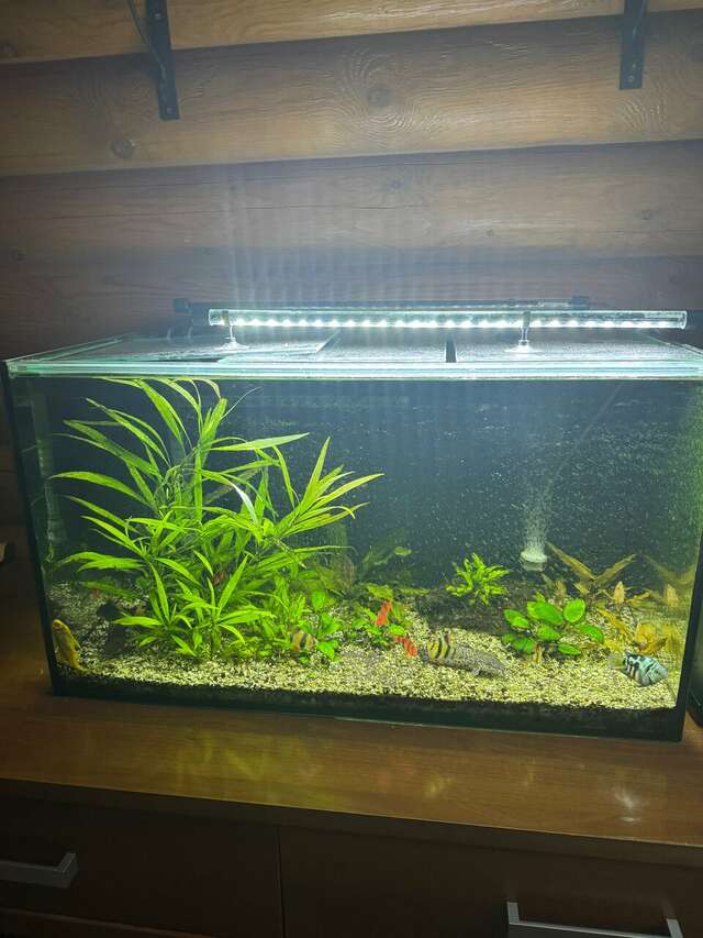 Гостиница Белка Геленджик-72