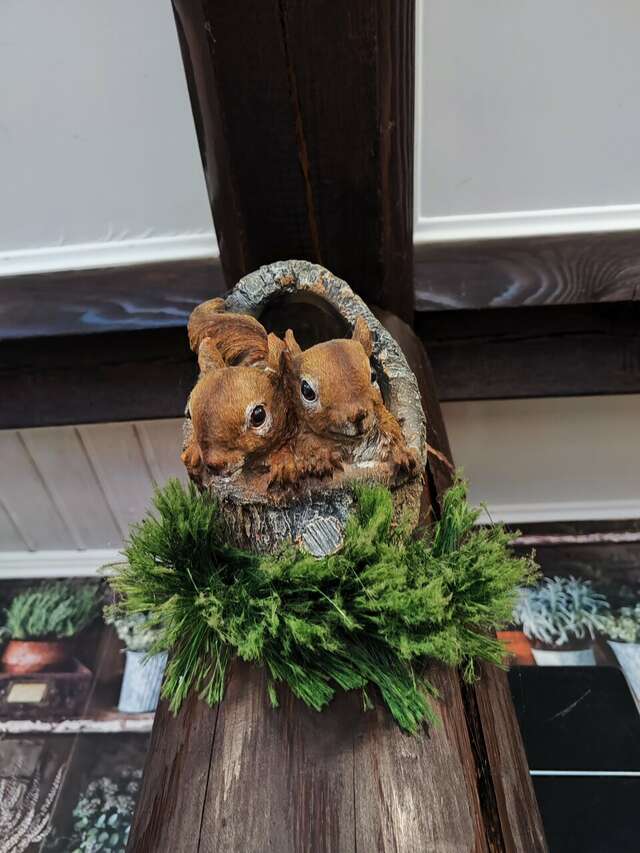 Гостиница Белка Геленджик-28